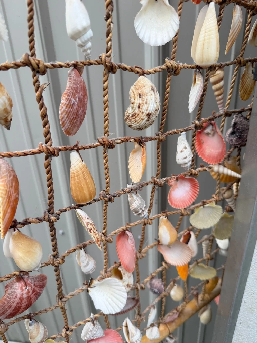 Seashell Net Wall Hanging